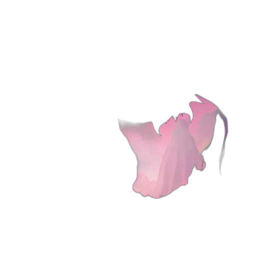 flower, crown, mask, hat transparent PNG cut-out