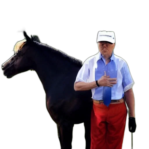 animal, staff, hat, creature transparent PNG cut-out
