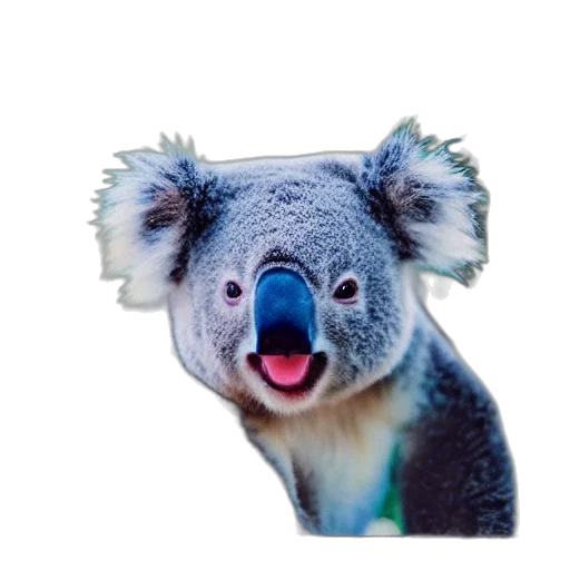 animal, hat, creature, face, photorealistic, 3d render, polaroid, koala transparent PNG cut-out