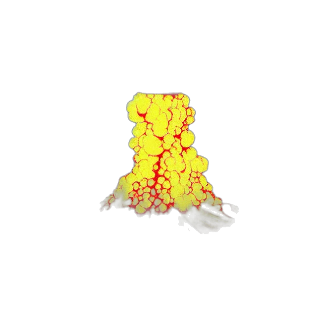 flower, crown, hair, dragon, pixel art, 3d render, concept art, golden transparent PNG cut-out