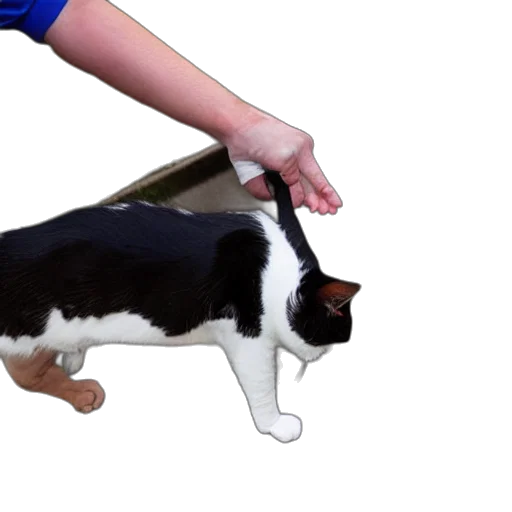 staff, animal, weapon, creature, 3d render, photorealistic, concept art, human transparent PNG cut-out