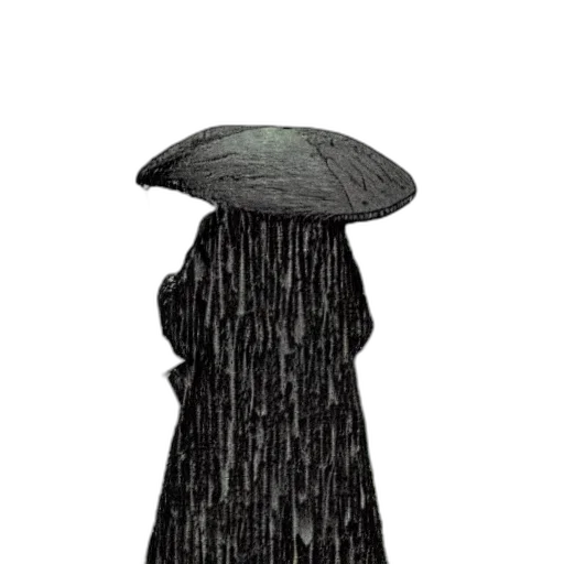 umbrella, hat, dress, jacket transparent PNG cut-out