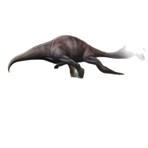 creature, animal, dragon, staff transparent PNG cut-out