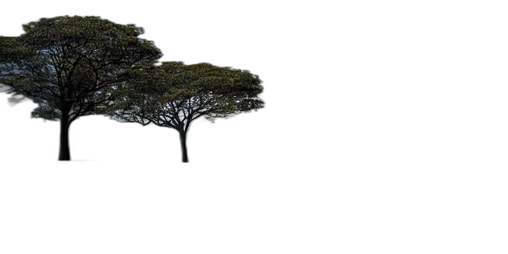 tree, crown, hair, hat, 3d render, photorealistic, concept art, pixel art transparent PNG cut-out