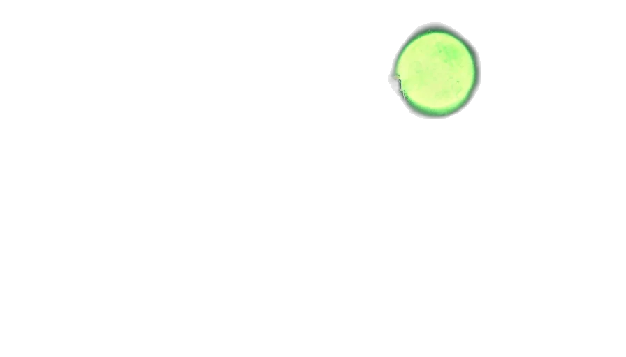 pixel art, green, pastel, neon transparent PNG cut-out