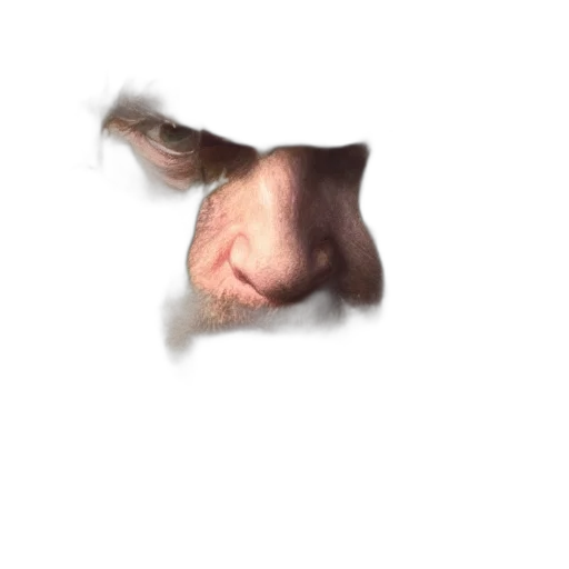 face, animal, creature, mask, 3d render, photorealistic, concept art, pixel art transparent PNG cut-out