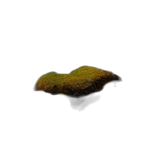 hair, hat, tree, creature, photorealistic, 3d render, concept art, pixel art transparent PNG cut-out