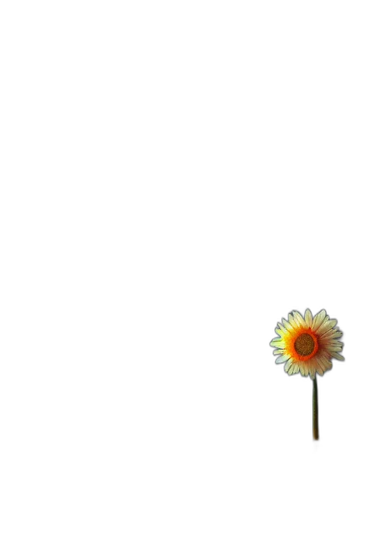 flower, staff, umbrella, weapon, 3d render, pixel art, photorealistic, concept art transparent PNG cut-out
