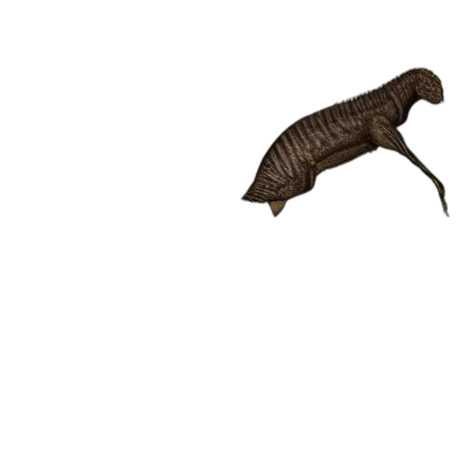 animal, creature, dragon, hair transparent PNG cut-out