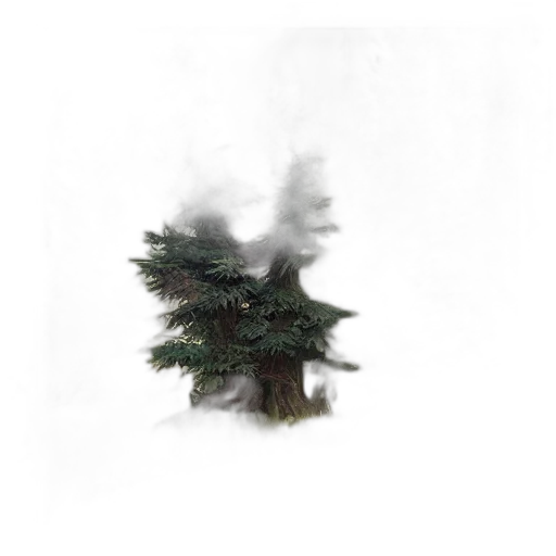 tree, crown, hair, hat transparent PNG cut-out