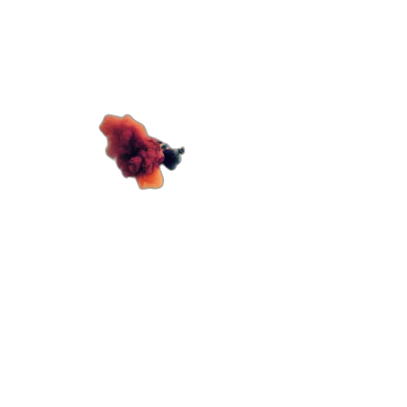 flower, weapon, hat, crown transparent PNG cut-out