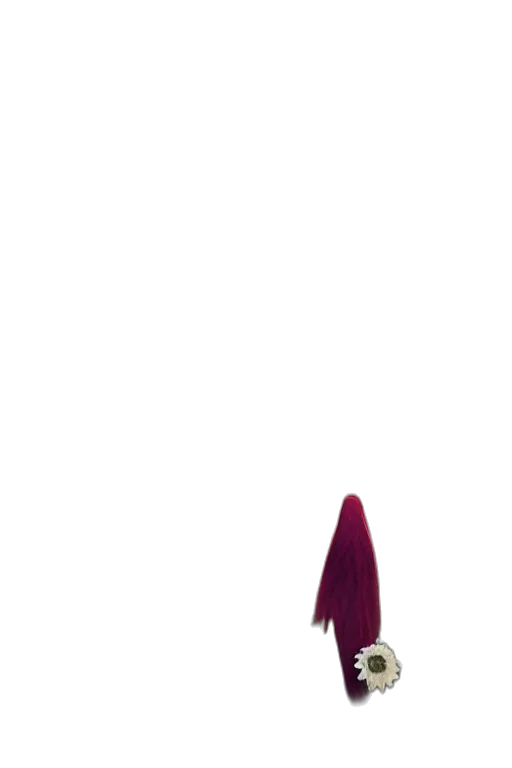 staff, hair, hat, dress, photorealistic, pixel art, 3d render, concept art transparent PNG cut-out