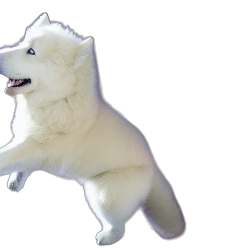 animal, creature, staff, weapon transparent PNG cut-out