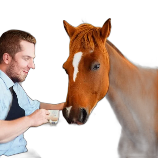 animal, food, creature, staff transparent PNG cut-out