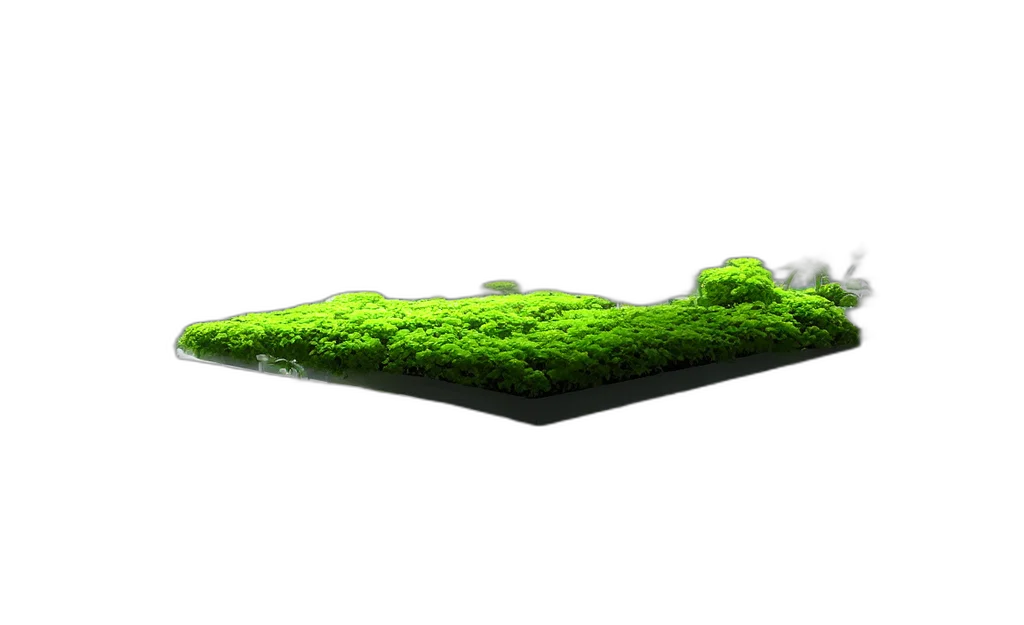 tree, sword, 3d render, concept art, photorealistic, forest, fog, underwater transparent PNG cut-out