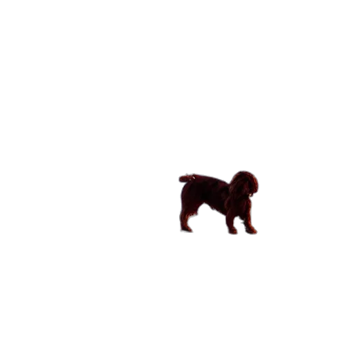 animal, creature, staff, hair, pixel art, 3d render, concept art, photorealistic transparent PNG cut-out