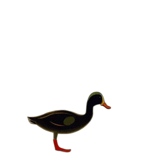 animal, creature, shoes, staff transparent PNG cut-out