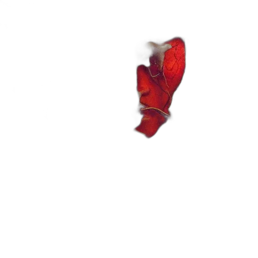shoes, mask, weapon, flower transparent PNG cut-out