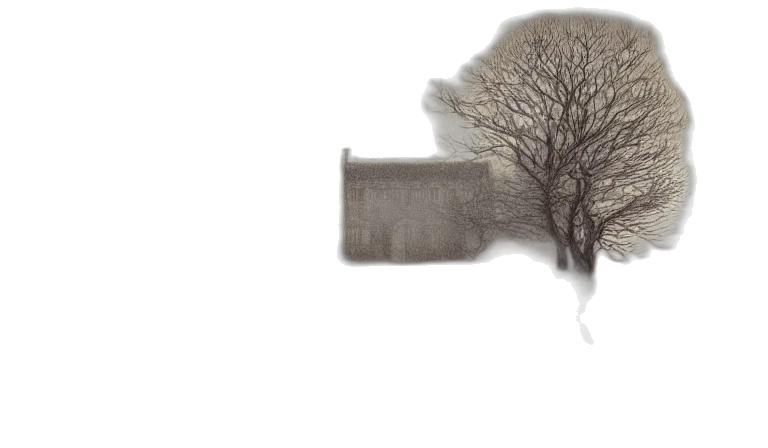 tree, hair, crown, mask transparent PNG cut-out