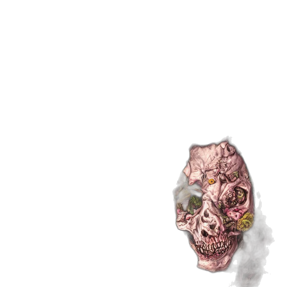 mask, crown, flower, face transparent PNG cut-out