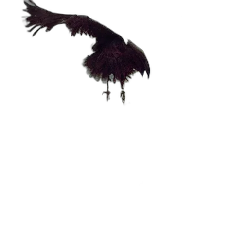 animal, dragon, creature, staff transparent PNG cut-out
