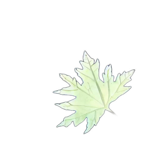 flower, tree, crown, dragon transparent PNG cut-out