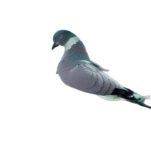 animal, staff, creature, weapon transparent PNG cut-out