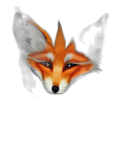animal, mask, face, creature transparent PNG cut-out