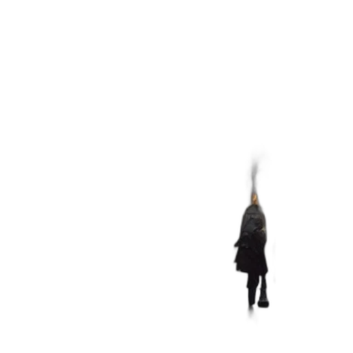 jacket, umbrella, dress, staff transparent PNG cut-out
