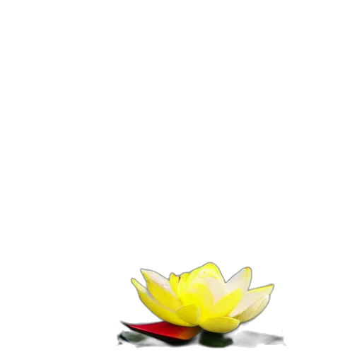 flower, staff, jewelry, crown transparent PNG cut-out