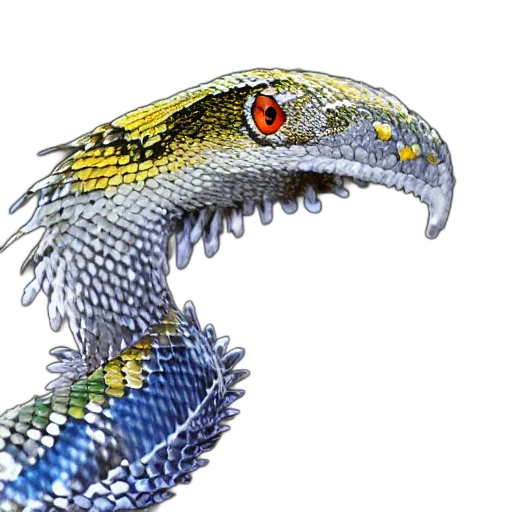 dragon, animal, jewelry, creature transparent PNG cut-out
