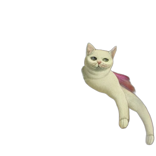 animal, creature, staff, shoes transparent PNG cut-out