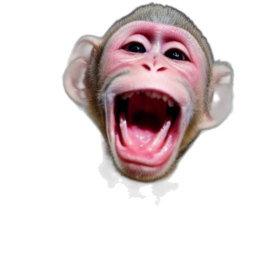 creature, animal, mask, face, photorealistic, 3d render, concept art, bald transparent PNG cut-out