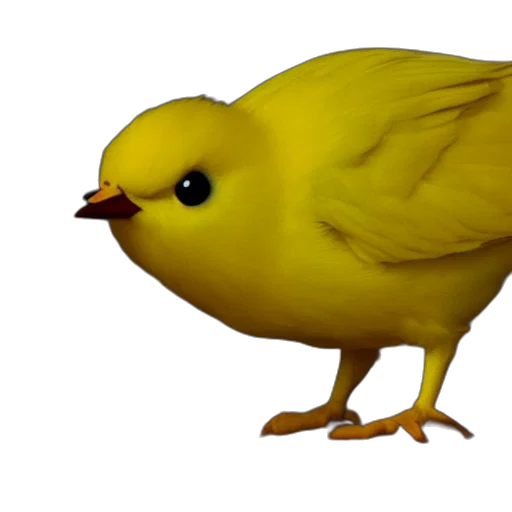 animal, creature, food, staff transparent PNG cut-out