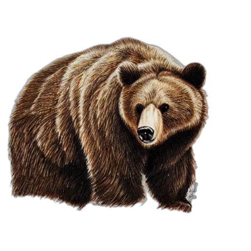 animal, face, creature, photorealistic transparent PNG cut-out