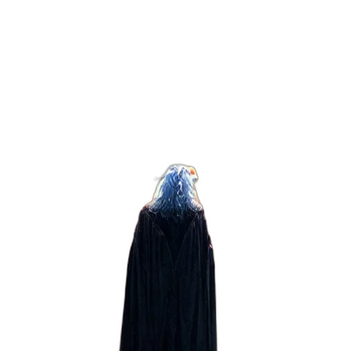 dress, jacket, crown, creature, concept art, comic book art, pixel art, 3d render transparent PNG cut-out