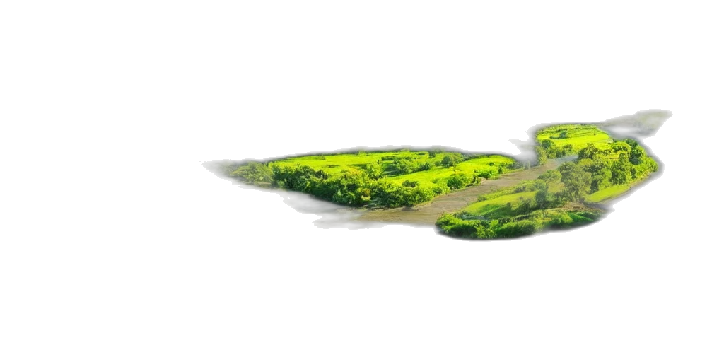 sword, weapon, tree, umbrella, concept art, watercolor, fantasy art, 3d render transparent PNG cut-out