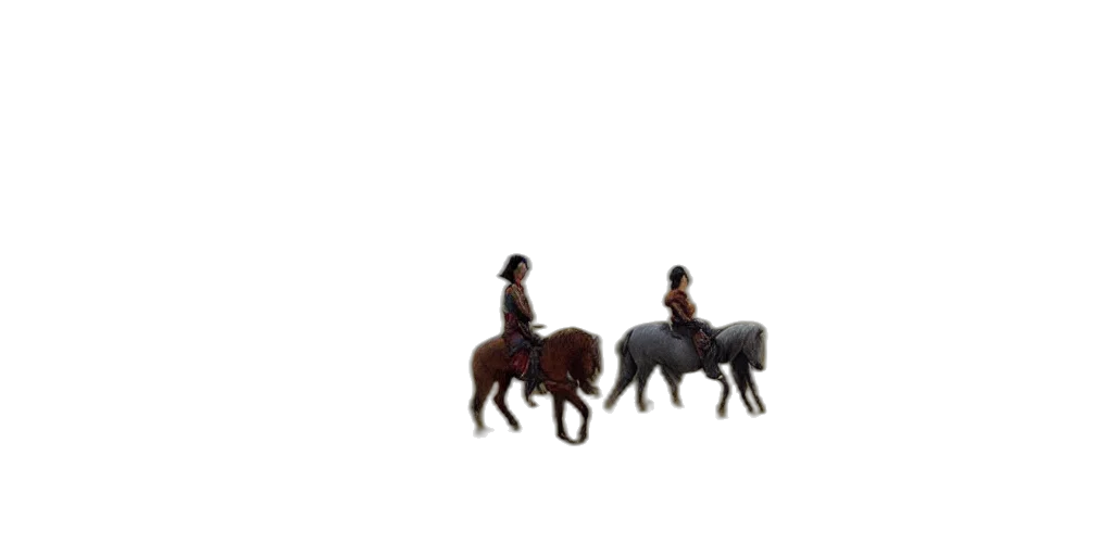 animal, hat, hair, furniture transparent PNG cut-out