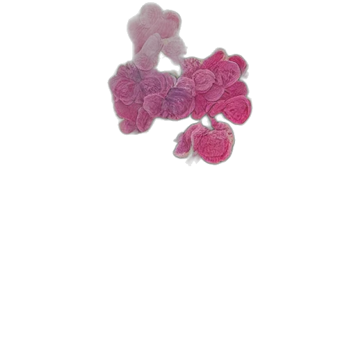 jewelry, flower, crown, staff, 3d render, vintage, illustration, pattern transparent PNG cut-out