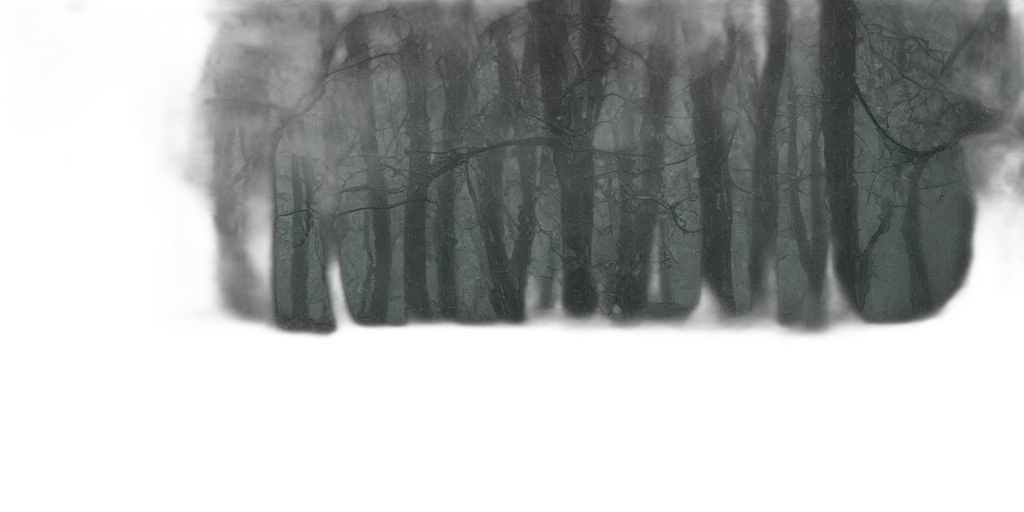 tree, face, mask, creature transparent PNG cut-out