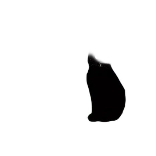 animal, hair, creature, face transparent PNG cut-out