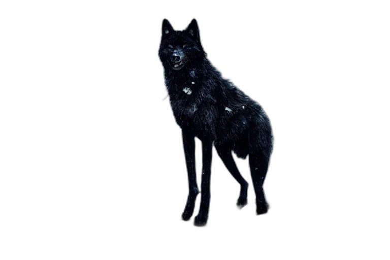 animal, creature, staff, mask transparent PNG cut-out