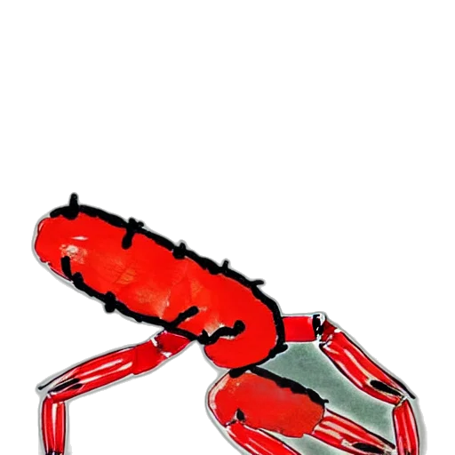 animal, robot, creature, weapon transparent PNG cut-out