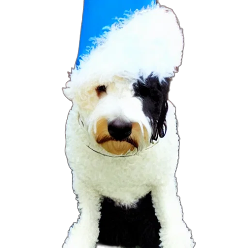 hat, staff, animal, photorealistic transparent PNG cut-out