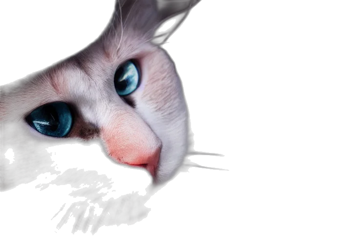 animal, creature, face, mask transparent PNG cut-out