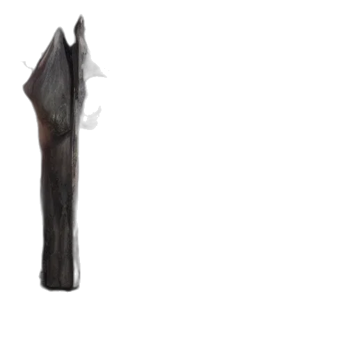 weapon, sword, staff, umbrella transparent PNG cut-out