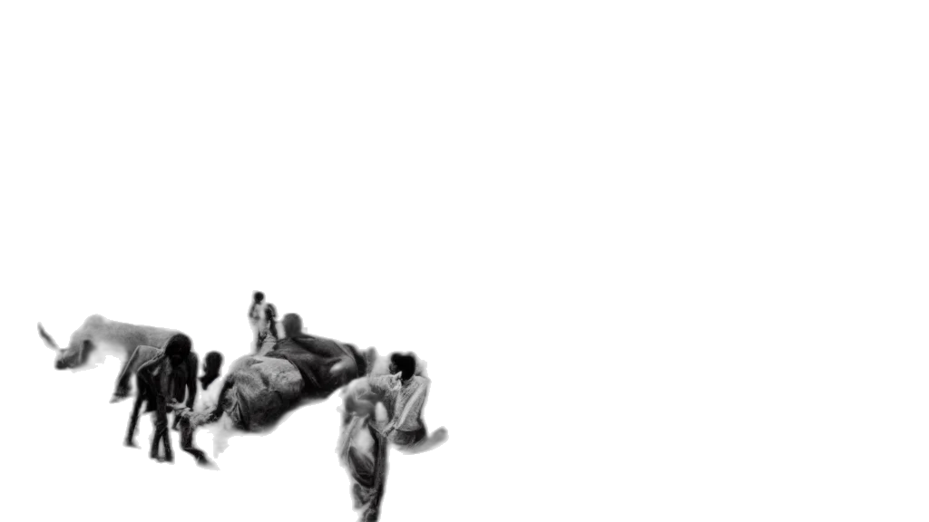 animal, creature, hair, photorealistic transparent PNG cut-out