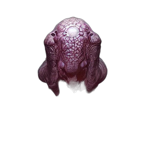 creature, animal, mask, face transparent PNG cut-out