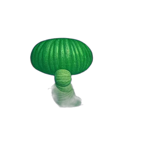 hat, furniture, umbrella, bottle, 3d render, green, black, orange transparent PNG cut-out