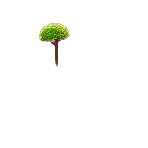 tree, staff, umbrella, hat transparent PNG cut-out